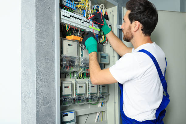 Best Electric Panel Repair  in Pinch, WV